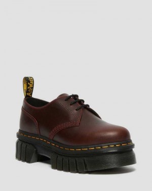 Brown Dr. Martens Audrick Brando Leather Platform Shoes | KVIFT1276